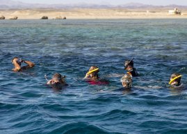 Snorkeling z przewodnikiem w Zatoce Marsa Mubarak