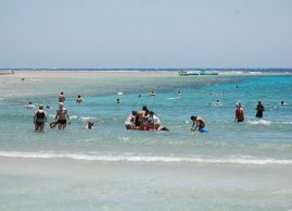 Turyści w morzu przy plaży Abu Dabbab w Marsa Alam