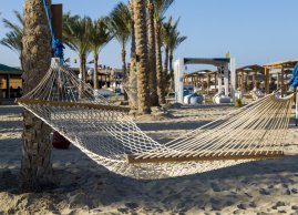 plaża w Abu Dabbab w Marsa Alam