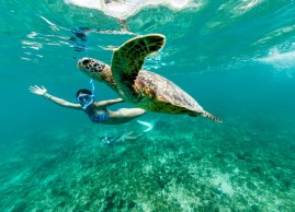 Turystka pływa z żółwiem w Zatoce Marsa Mubarak 