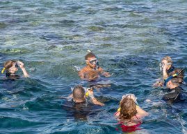 Snorkeling z przewodnikiem podczas wycieczki morskiej Marsa Mubarak