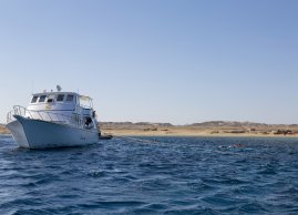 Tours  from Marsa Alam